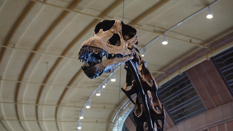 Dinosaur Era